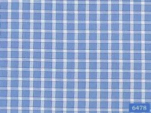 Carolina Blue Check Shirt