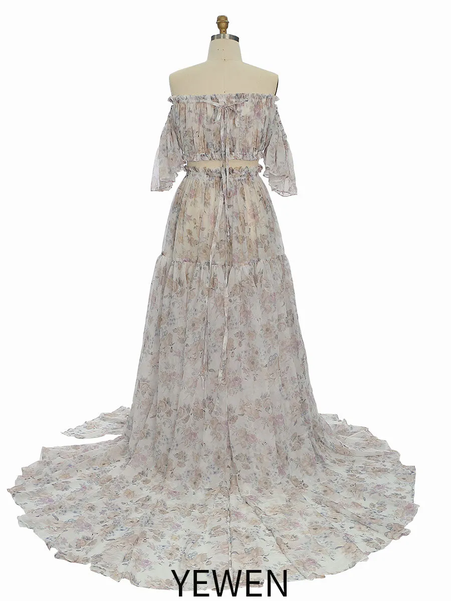 Chiffon Print 2 Pieces Set Dress for Photo Shoot Woman Maxi Dress YW230317