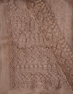 Grey Thread Embroidered Organza Dress Material with Dupatta