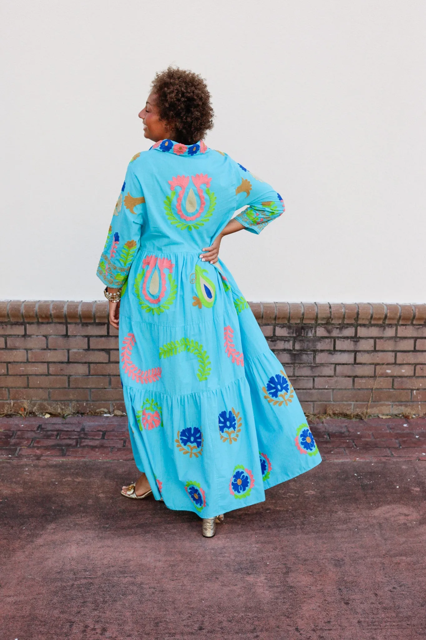 Isla Embroidered Dress