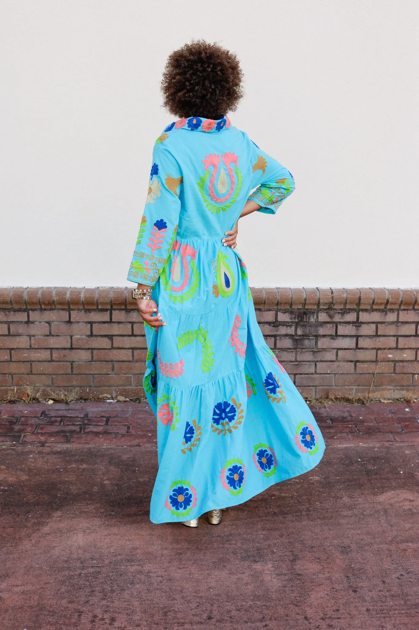 Isla Embroidered Dress