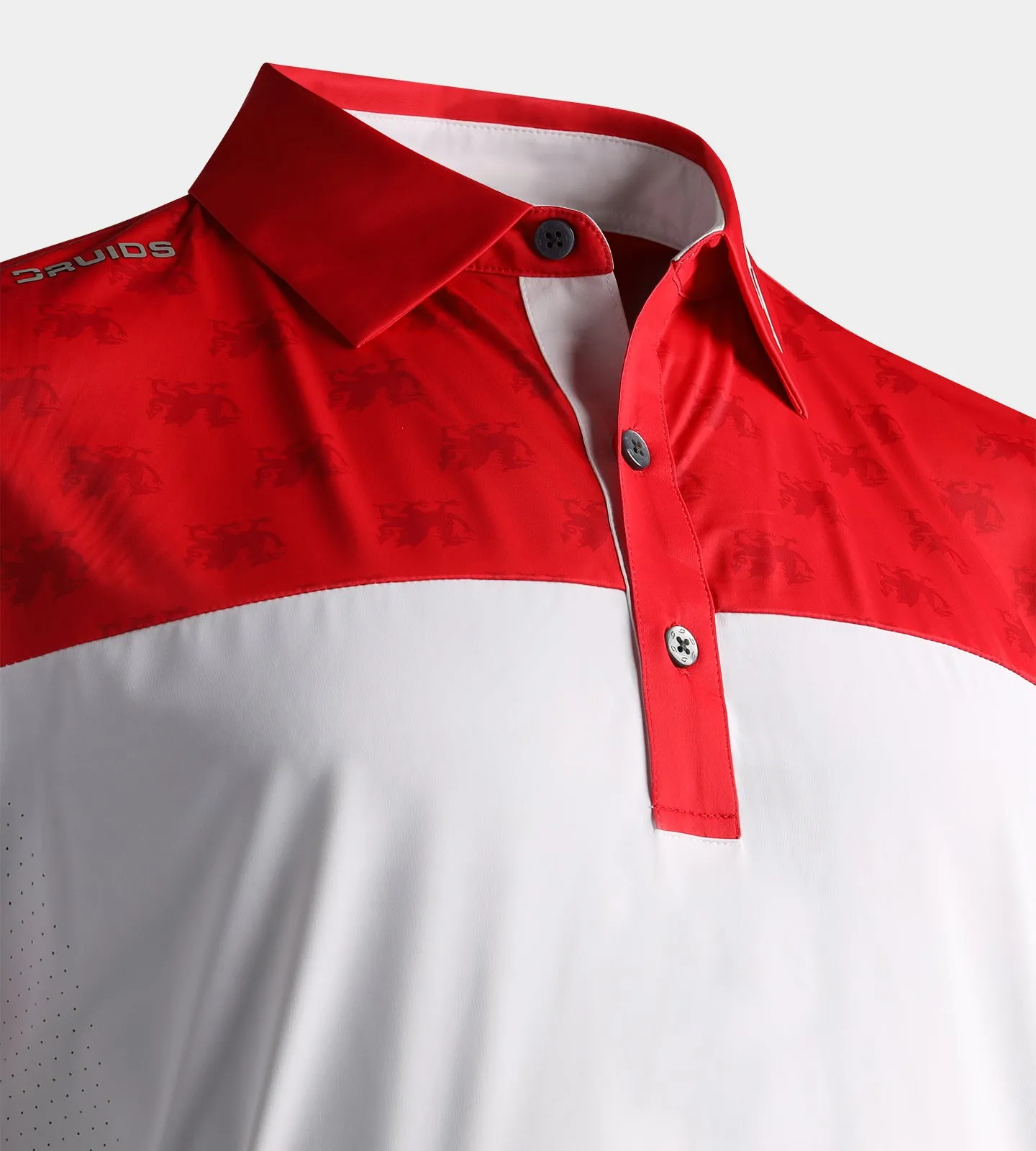 NATIONS POLO - WALES