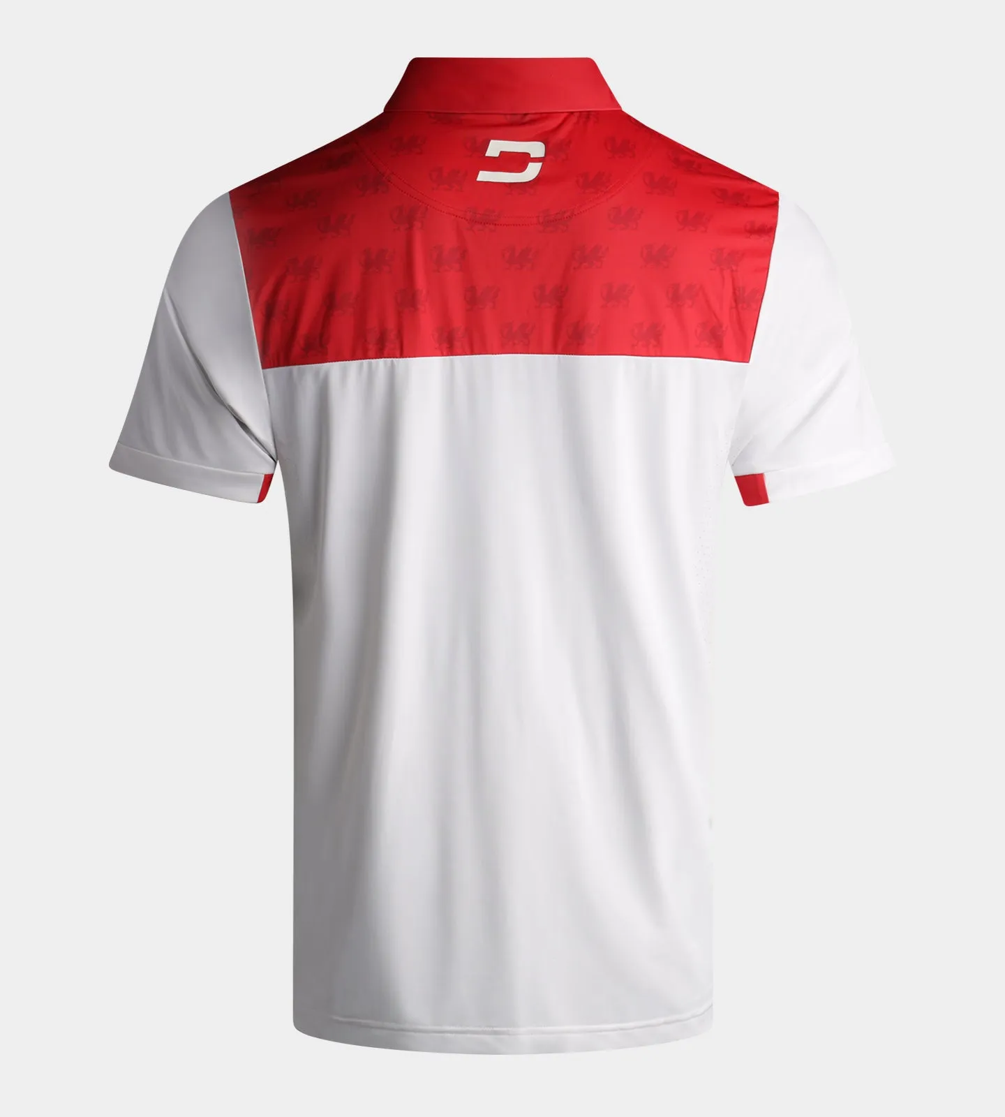 NATIONS POLO - WALES