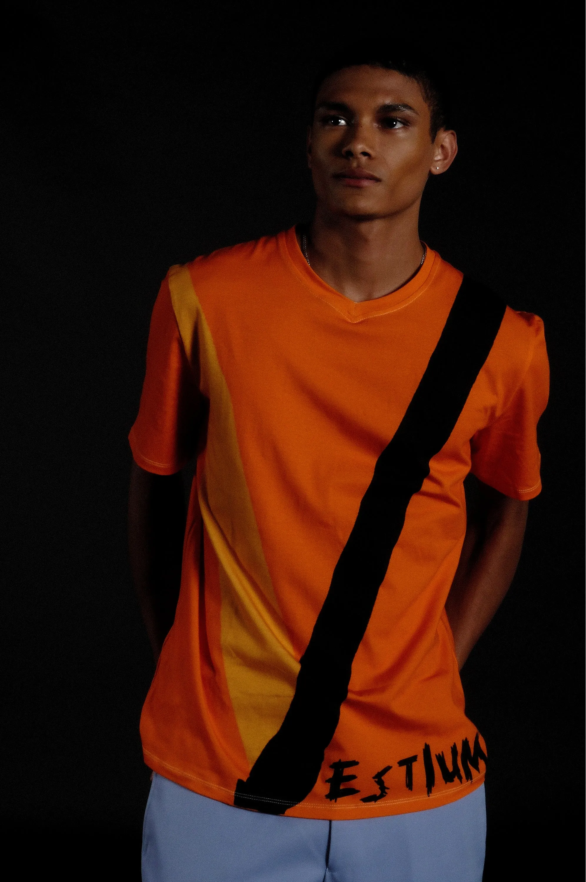 VESTIUM T-Shirt