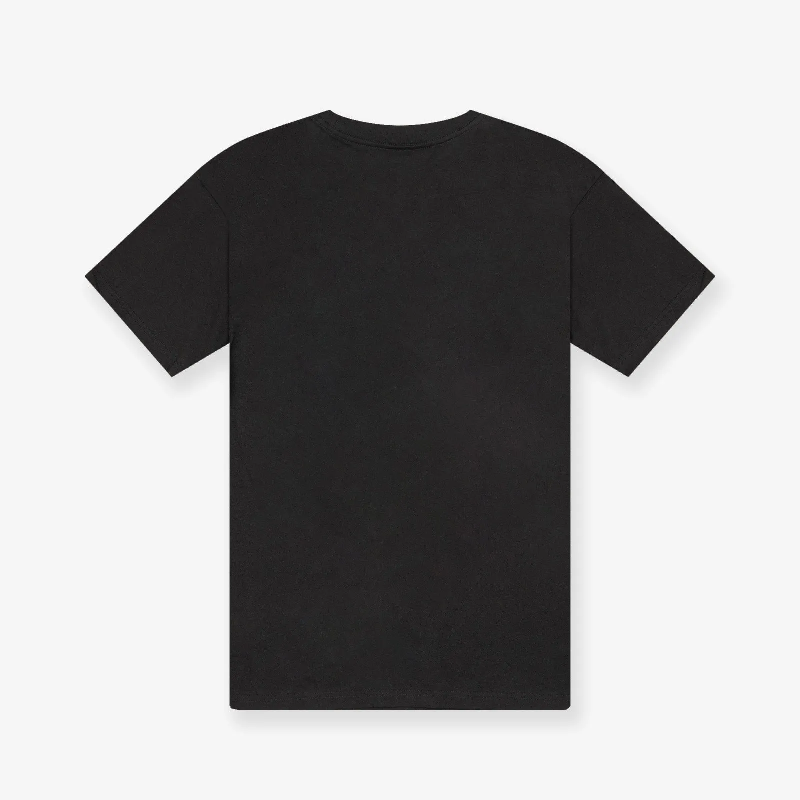 Vince Carter Toronto Raptors Player Photo Homage Tee - Faded Black
