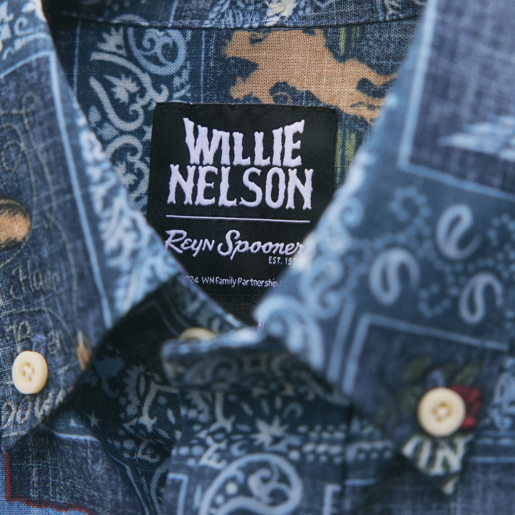 WILLIE NELSON AMERICAN ICON